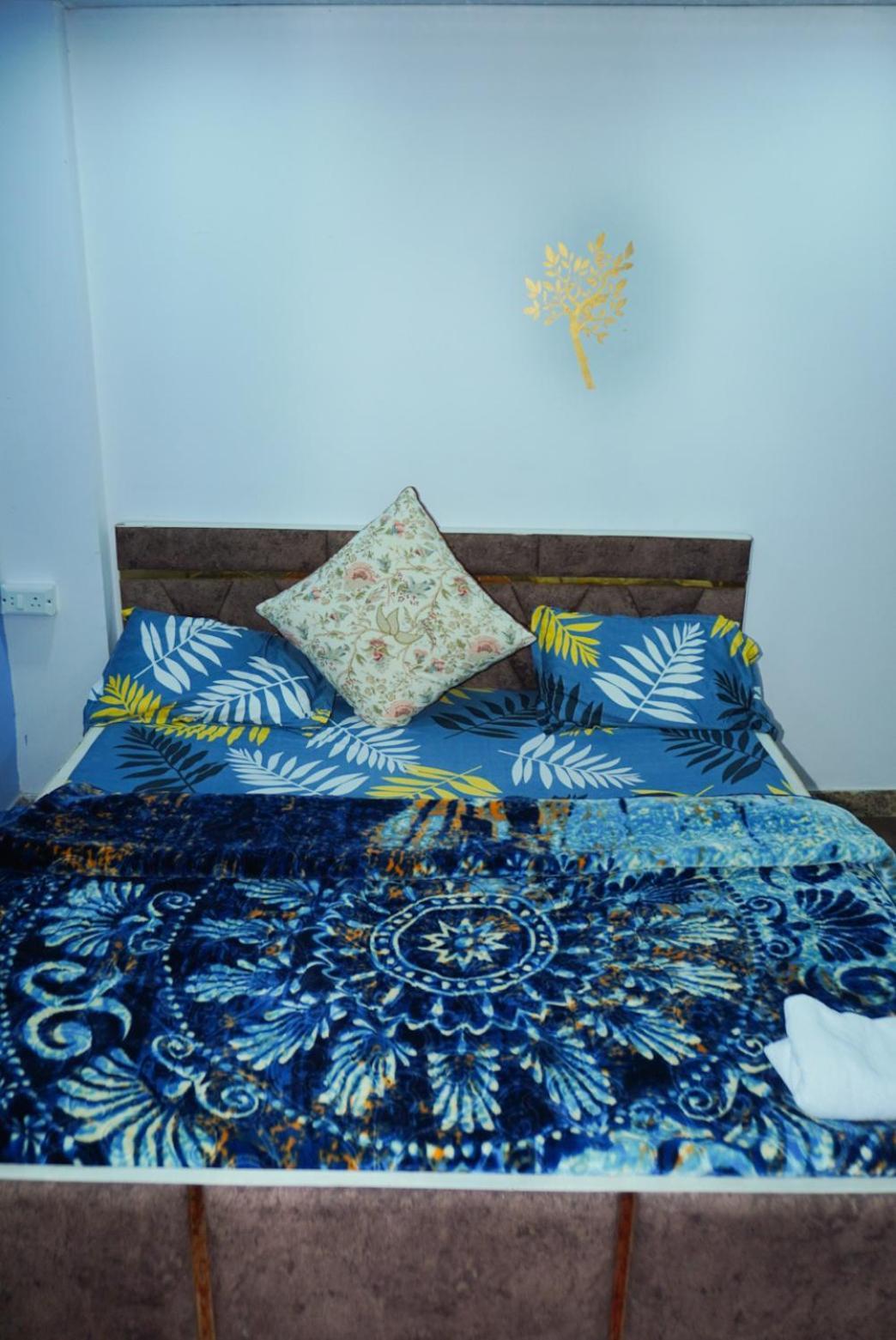 Flips With Mykonos Guest House นิวเดลี ภายนอก รูปภาพ